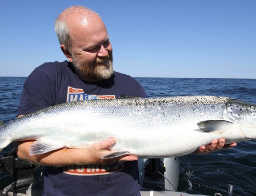 Två dagars laxfiske i sommarvärme på Ålands hav